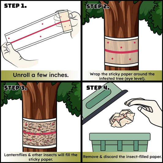 Spotted Lantern Fly Tree Trap - 4 Rolls (30 Feet Each Roll) - Lanternfly Tree Tape Creates a Sticky Barrier Protecting Trees from Harmful Insects - Non-Toxic - W4W Products 