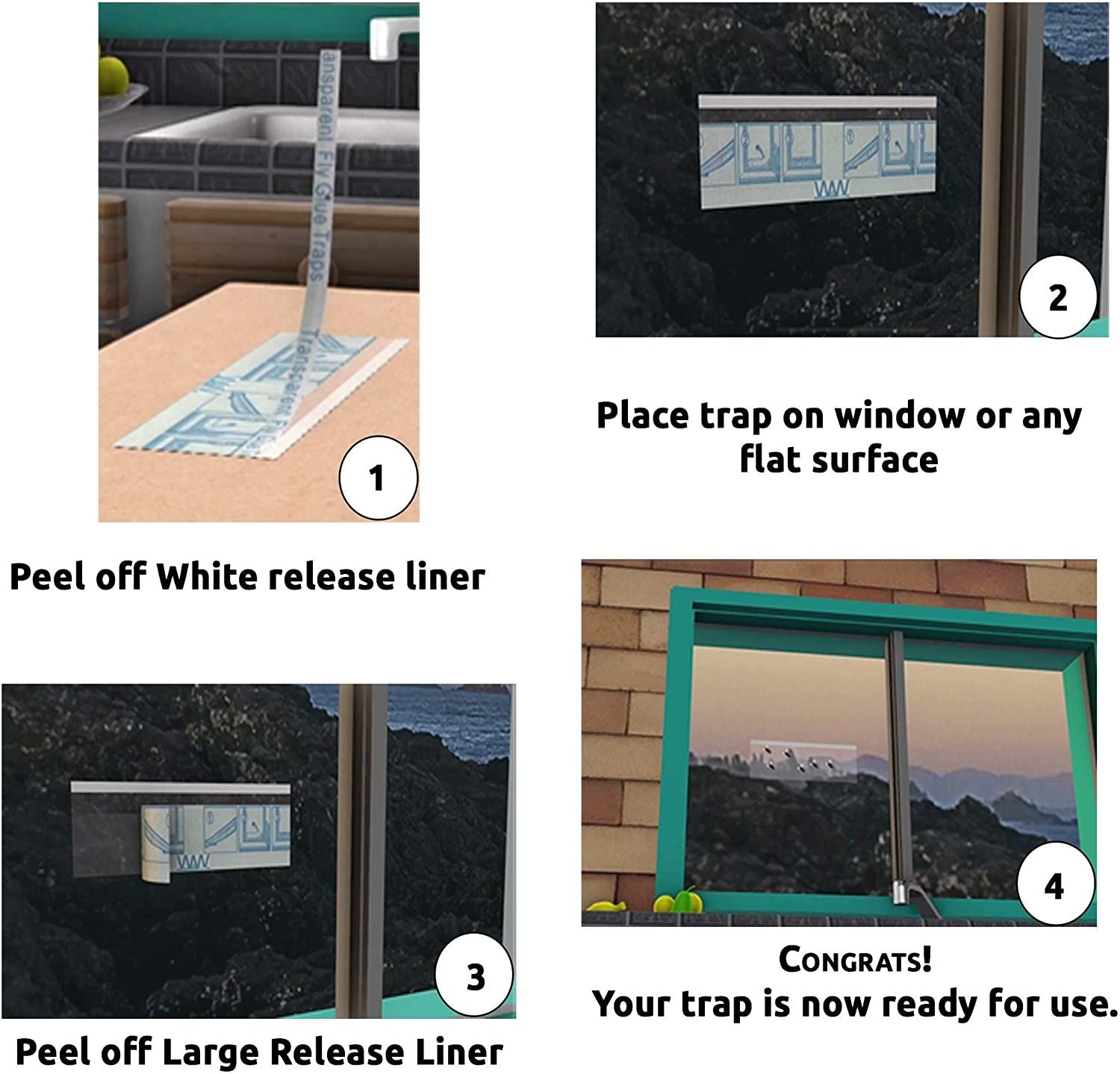 Window Bug & Fly Traps - Non-Toxic & Family Friendly [16 Traps] - W4W Products 
